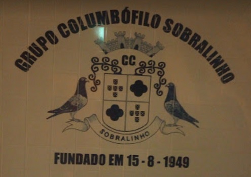 gcs.logo